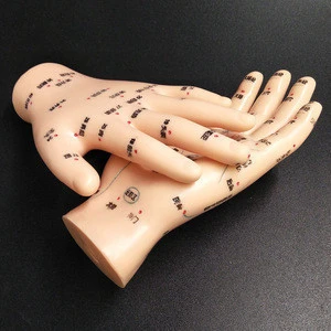 Acupuncture hand model pvc material 13cm medical product