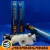 Import Advanced Goose Feather Badminton Birdies Balls High Speed Badminton Shuttlecocks with Great Stability and Durability from China