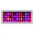 Import Advanced Platinum Series Led Grow Light 300W P300 for Amazon Sale from China