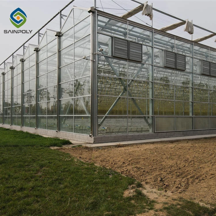 Agricultural Multi-span Glass Greenhouse with Irrigation&Hydroponics Equipment