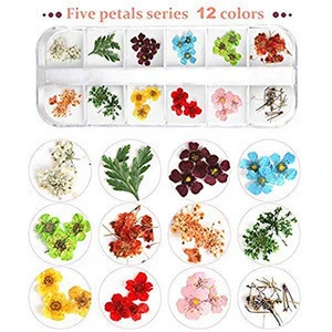 Amazon Hot Sale Nail Dried Flowers,3d Nail Art Sticker for Tips Manicure Decor Mixed Accessories,Starry Leaves Flower,TOYS0155