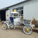 amusement park equipment  outdoor christmas decoration horse carriage princes horse car