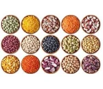 Australia Red whole lentils