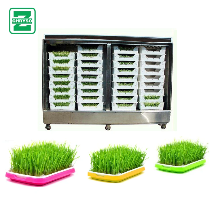 Automatic Barley Sprout Machine Seeds Sprouting Machine Hydroponic seeds fodder germination