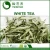 Import B01B Rose Flower Detox Herbal Bubble Tea , Chinese Organic Slimming Puer Matcha White Oolong Black Green Tea from China