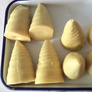 Bamboo Shoot Product Canned Vegetable In Tins