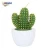 Import Best choice OEM ODM products new idea wholesale paraffin cactus candle favors from China