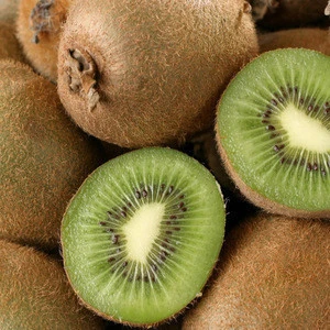 Best price Fresh kiwi Fruit