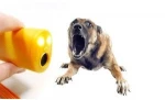 Best price Stop Barking Pet Product Ultrasonic Dog Training Repeller Aggressive Control Trainer Device Anti Bark