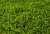 Import Best quality competitive price Artificial grass plastic synthetic turf mat from China