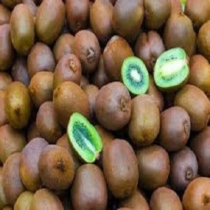 Best Quality Fresh kiwi fruit