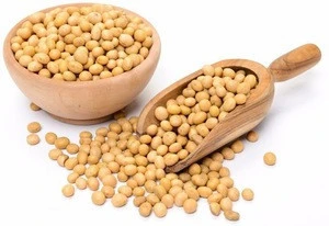 BEST QUALITY SOYBEAN ORIGIN INDIA FROM NIK-MAY EXPORTS