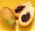 Import Best Selling Products Natural Nurtritious Papaya Powder, Papaya Freeze Dried pataya slice dice powder from China