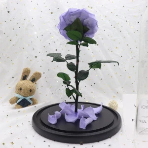 Best Selling Qualified Christmas Gift Preserved Flower Rose In Glass dried flower in wooden frame