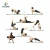 Bilink Perfect Accessory for Stretching and Improving Backbends 32x13cm TPE and ABS yoga wheel fitness