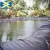 Import Biodigester geomembrane PVC/LDPE/HDPE as landfill dam lining plastic liners from China