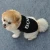 Import Black Pet Puppy T-Shirt Clothes Coat Apparel Costumes Warmer ropa de perro Top Vest Summer Dog Clothes from China