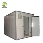 blast freezer/cold room storage/cold storage for fruits