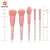 BUEART Rainbow Candy Makeup Brush Set 5pcs Makeup Brushes Transparent Crystal Handle for Blush, Foundation, Eyebrow, Eyeshadow,