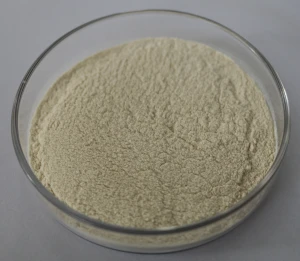 Buy  xanthan gum food additive food thickener powder in Shandong.