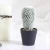 Import Cactus ball bonsai simulation succulent plant suit ornament black plastic basin stone paving tiger skin orchid from China
