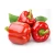 Import CAPSICUM WITH THE BEST PRICE AND HIGH QUALITY FROM ASIAN from Vietnam