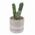 Import Ceramic Emulation Plant Pot with Stone Small Indoor Ceramic White Outdoor Plant Pots 4.3 inch Small Potted Plants from China