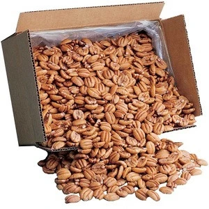 Certified Pecan Nuts / Pecan Nuts for sale/ Pecan Nuts best price