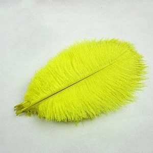 Cheap 12-14in/30-35cm Ostrich Plumes Feathers Wholesale Factory Supply Dyed Ostrich Plumas for Carnival Decoration