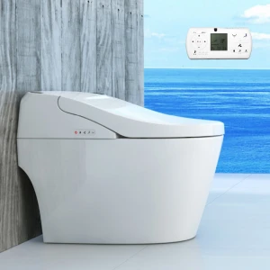Cheap Japanese Bathroom Automatic Wc Intelligent Sanitary Ware Toilet With Heated Seat