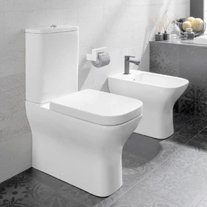 cheap price  sanitary suite  all in one bathroom floor p trap  2 pcs toilet  cold  water bidet lady close coupled  toilet sink