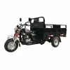 China motorized  lift cargo tricycle egypt for sale   motorized motorcycle