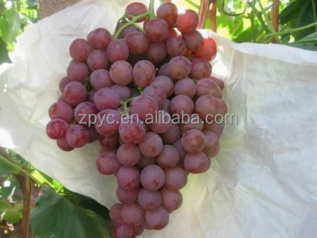 Chinese Grapes Red Globe Grapes
