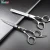Import Classic Design Hairdressing Barber Scissors Hair Scissors In 6.0 Inch from China