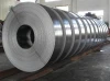 cold-rolled stainless steel strip