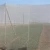 Import Colorful plastic mist net for farm from China