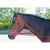 Import colorful pvc synthetic horse bridle for racing/Challenger Tack Horse Western Endurance Halter Bridle Combo with Split Reins from India