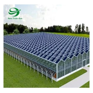 Commercial Smart Modern Agricultural Glass Greenhouse with  Hydroponics System