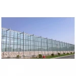Complete glass agricultural greenhouse turnkey project with quick construction
