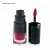 Cosmetics Vendors Custom Personal Brand Multicolor Waterproof Liquid Lipstick