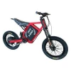 CS20 7 speeds electric bike EU quality 3000w strong power hub motor 48v lithium battery E bike bicycle for Adults