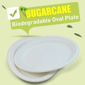 Disposable bagasse food container organic compostable biodegradable sugarcane fiber plate