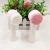 Import Double Side Silicone Facial Cleanser Brush Multifunction Nylon Silicone Face Cleansing Double Head Brush from China
