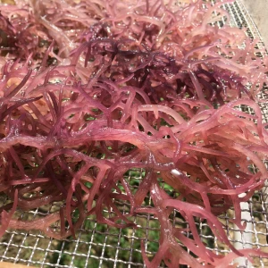 Dried Gracilaria Seaweed/ Dried Seamoss/ Irish Sea Moss/ Dried Euchema Cottonii Seaweed from Vietnam (Ms.Doris: +84 918023347)