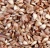 Import Eastern Sebria New Dahurian Larch Seeds, Seedlings For Planting from China