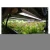 Import EDK LED 24watt horticulture table top light garden hydroponic systems small grow light from China