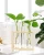 Import Ewer Crystal Glass Test Tube Vase Planter Terrariums Desktop Glass Planter Flower Pots Wooden Stand from China