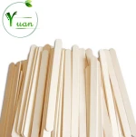 Factory direct ice cream Sticks  ice cream scoop 114mm ice cream stick