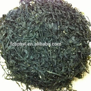 Factory Supply Dried Kelp/Laminaria for Seaweed Salad