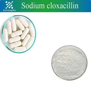 Factory Supply High quality Anti-infective drugs Cloxacillin sodium/Sodium cloxacillin salt  CAS No 7081-44-9
